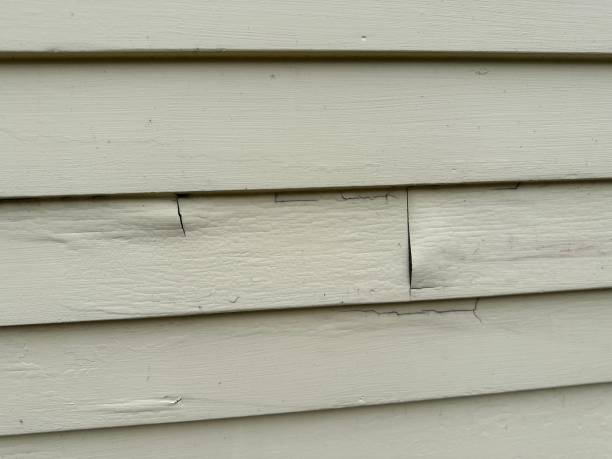 Best Shed Removal  in Riverdale, CA